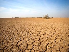 امنیت غذایی ایران در خطر!